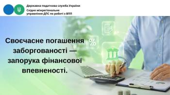 Самостійне погашення податкового боргу: порядок заповнення реквізитів «Призначення платежу» платіжних інструкцій